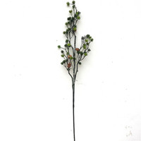 Branches de pin vertes, pommes de pin, tiges de pin