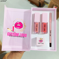 Vente en gros de kits de maquillage de luxe 4 en 1, gloss à lèvres, crayon à lèvres, taille-crayon, ensembles cadeaux, marque privée, gloss à lèvres hautement pigmenté