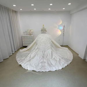 Vestidos de Novia de Lujo con Cuentas Brillantes, Cola Larga y Esponjosa, Vestido de Novia Personalizado Lsjj25 - Product Image 4