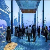 Projecteur immersif 3D expérience de jeux de projection interactifs 360 salle d'art rupestre réalité augmentée écran de cartographie affichage d'événement