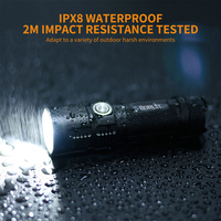 Boruit usine meilleur LED tactique petite lampe de poche de haute qualité en alliage d'aluminium USB Rechargeable LED ampoule lampe de poche lumineuse