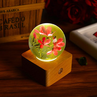Lampu malam LED spesimen bunga bola Dandelion Resin abadi buatan tangan lampu meja untuk kamar tidur anak perempuan ide hadiah dekorasi
