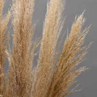 Herbe de la Pampa Naturelle Décorative – Série Très Demandée – Fleurs Séchées en Sac Plastique – Décoration du Nouvel An Chinois et de Pâques