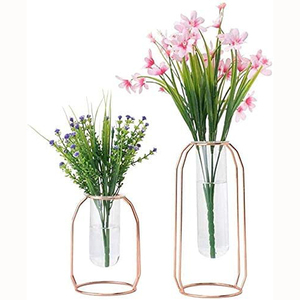 Vase hydroponique en verre et métal INS, dispositif en cristal, terrarium, station <span class=keywords><strong>de</strong></span> multiplication, <span class=keywords><strong>d</strong></span>écor <span class=keywords><strong>de</strong></span> maison, articles mobilier, vase en or - Product Image 1