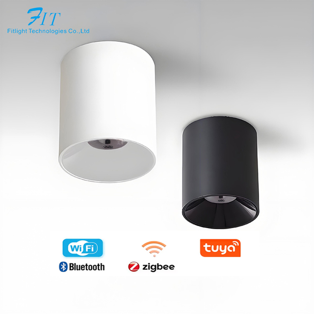 Dimmable LED Surface Mounted Downlight COB for Dali Driver Tunable White 230V Smart for Smart Control Lights IP44 Rated