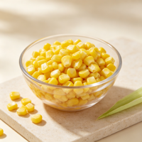 批发厂价 IQF 冷冻玉米粒 一级甜玉米粒 大量供应，用于食品加工和沙拉