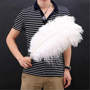 Plumes d'autruche blanches de toutes tailles, 15-70 cm (6-28 pouces), 10 pièces, pour l'artisanat, les accessoires de mariage, la décoration, décoration de plumes d'autruche - Product Image 5