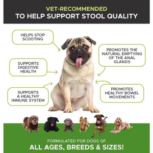 厂家批发宠物保健补充剂狗肛门腺软咀嚼防止复发肛门腺问题 - Product Image 4