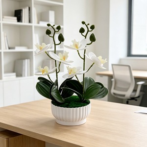 Orchidée Phalaenopsis Artificielle en Bonsaï, 2 Tiges, 6 Fleurs, Plante Artificielle en Caoutchouc Souple, Décoration de Bureau, Ornement d'Intérieur en Pot Vert - Product Image 4