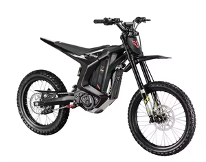 Motocicleta Eléctrica Arctic Leopard Clouded Leopard XE PRO S Gold Fork 74V 60Ah 20kw de Alta Velocidad 100Km/h, Motocross - Product Image 6