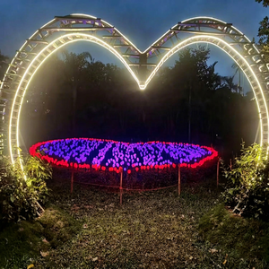 Lumières à motif de cœur blanc chaud pour ajouter une touche d'élégance aux jardins d'hôtels, aux atriums de centres commerciaux et aux espaces événementiels saisonniers - Product Image 1
