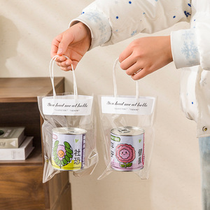 Creative <b>Nursery</b> Pots In Tote <b>Bags</b> Metal Planting Set For Kids Desktop Greenery Gift Idea - Product Image 2