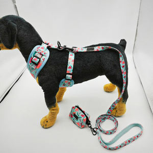 Set <span class=keywords><strong>Harness</strong></span> anjing multifungsi, 6 dalam 1, desain tugas berat tanpa tarik untuk keturunan besar, tali kerah hewan peliharaan mewah dapat disesuaikan OEM - Product Image 6