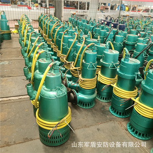 Bqs20-50-7.5Kw Bomba Sumergible para Arena a Prueba de Explosiones 1140V 660V para Uso en Minas con Conexión de Brida - Product Image 2