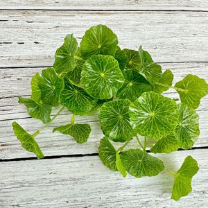 Queyiyi Flowers Artificial Pennywort <b>Plant</b> <b>30cm</b>-100cm Green <b>Indoor</b> Desk Decor Bonsai Style <b>Potted</b> <b>Plant</b> Ornament - Product Image 4