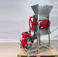 Machine à dépulper les grains de café électrique 300-500 kg/h pour la transformation agricole, machine à décortiquer