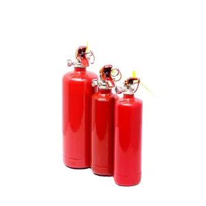 1kg Fire Extinguisher Factory Sale 1Kg ABC Fire Extinguisher Car Used 1 KG Dry Powder Fire Extinguisher