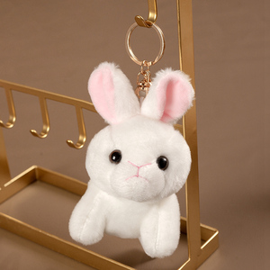 <span class=keywords><strong>2025</strong></span> Mới Tùy Chỉnh Mềm Dễ Thương Mô Phỏng Động Vật Sang Trọng Keychain Thú Nhồi Bông Đồ Chơi Động Vật Quà Tặng Cho Trẻ Em Sang Trọng Hổ - Product Image 6