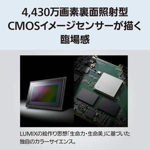 Cámara Digital sin Espejo de Fotograma Completo S1RII con Captura de Video y Enfoque Fijo (Solo Cuerpo) DC-S1RM2 - Product Image 5