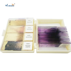 Lames de verre de laboratoire de <span class=keywords><strong>biologie</strong></span> Microscope à frottis de sang humain préparé <span class=keywords><strong>Biologie</strong></span> de l'oignon et diapositive d'enseignement des plantes animales Science médicale - Product Image 5