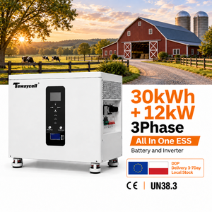 ตู้แบตเตอรี่ ESS 30kWh 12kW สามเฟส ระบบแบตเตอรี่พลังงานแสงอาทิตย์ 300A BMS ระบบปรับสมดุลแบบแอคทีฟ เกรด A LiFePO4 สต็อก EU โปแลนด์ DDP ระบบผลิตไฟฟ้าจากพลังงานแสงอาทิตย์ - Product Image 1