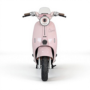 Bicicleta de Montaña de Aluminio sin Escobillas de Alta Gama para Mujeres Adultas, Modelo EVRIDE A033, 40 Km/h, 60V - Product Image 5