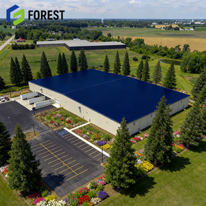 Almacén Comercial de Acero de Alta Eficiencia Energética en Vietnam con Estructura de Viga en I de Tailandia, Panel Sándwich de Espacio Abierto, California - Product Image 1