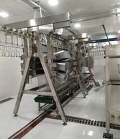 Équipement de viande de poulet de volaille moderne entièrement automatique commerciale Plumeuse Machine Abattoir Production Cueillette de poulet