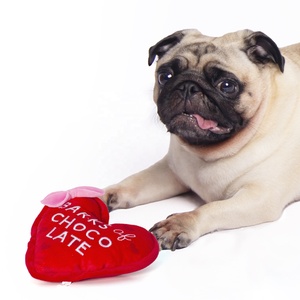 Tùy Chỉnh Động Vật Với Squeaker Con Chó Màu Nâu Đồ Chơi Sang Trọng 2024 Tốt Nhất Valentine Của Ngày Trái Tim Với Bowred/Màu Hồng + Tùy Chỉnh Đồ Chơi Sang Trọng - Product Image 4