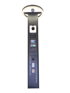 Farola LED Municipal Liangqiu Lq-z008 con Sensor, Cámara, Wifi y Función 4G para Exteriores en Ciudades Inteligentes - Product Image 2