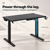 Pieds de bureau en métal avec alimentation électrique, table élévatrice, bande lumineuse RGB, gestion des câbles, bureau commercial MAGNUSS