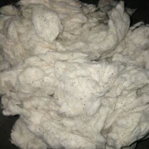 Fibra de desecho de algodón con mosca de tarjeta | Residuos de molino de hilado de algodón para material de hilo hilado de la industria textil _ Sra. Min - Product Image 3