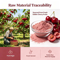 Poudre de cerise séchée par atomisation naturelle, extrait de cerise en poudre, 15-17% VC
