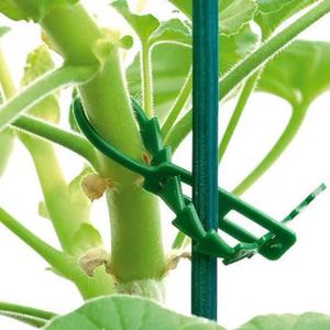 Correas de encuadernación de jardín verde de espina de pescado multiusos, correas de encuadernación de línea de jardín, correas de encuadernación de espina de pescado de jardín - Product Image 5