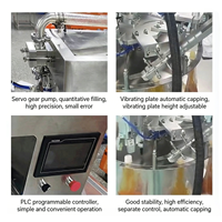 Machine automatique de remplissage et de bouchage de poches souples pour jus, boissons et détergents liquides