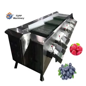 automatic commercial industrial blueberries sizing grader sorter blueberry size grading sorting machine