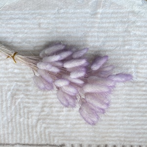 Vente en gros Queue de lapin conservée Fleur sèche Queues de lapin séchées <span class=keywords><strong>Lagurus</strong></span> Ovatus pour la décoration de mariage - Product Image 3