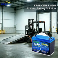 Batería de ciclo profundo LiFePO4 para montacargas 12V 300AH para AGV con carga equilibrada, certificaciones CE FCC RoHS, OEM ODM, potencia fiable de fábrica