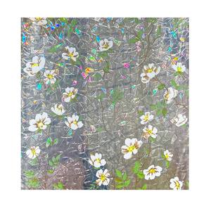 Película de Privacidad <span class=keywords><strong>para</strong></span> <span class=keywords><strong>Ventanas</strong></span>, <span class=keywords><strong>Vinilo</strong></span> <span class=keywords><strong>Electrostático</strong></span> de PVC, Arcoíris 3D, Absorbente de Rayos UV, Antiexplosión, Adhesivo Decorativo <span class=keywords><strong>para</strong></span> Hoteles - Product Image 1