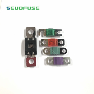 <span class=keywords><strong>Prix</strong></span> compétitif Fusible automobile Fusible boulonné 100A 120A 125A 150A 175A 200A ANM ANL fusible - Product Image 3