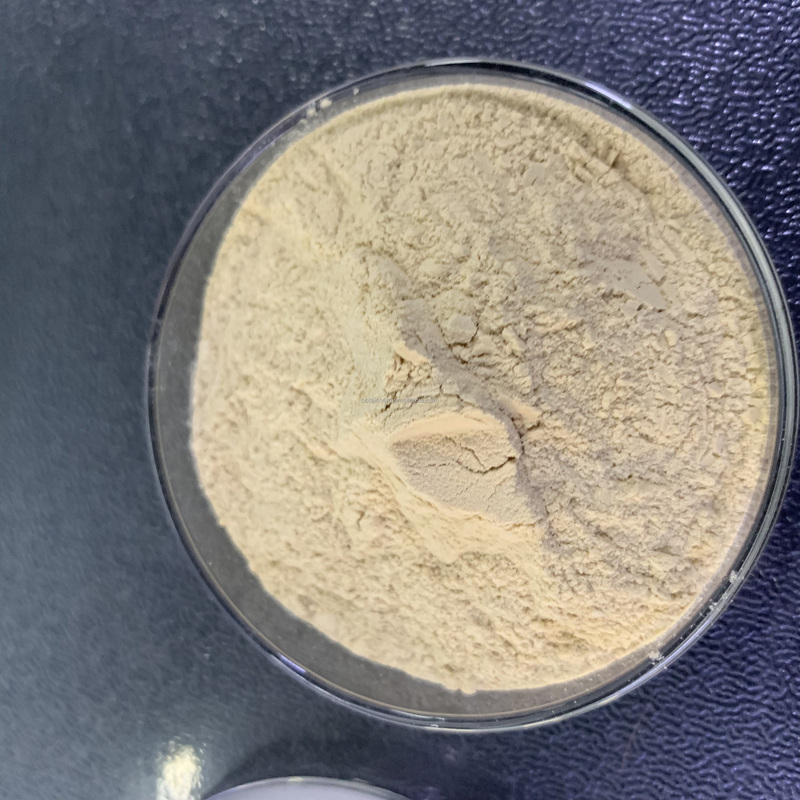 Free Factory Sample Gypsum Powder BR