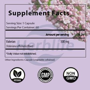Cápsulas de Extracto de Raíz de Valeriana de Marca Privada OEM ODM 500 mg - Apoya el Estado de Ánimo y la Concentración Mental, Sensación de Calma y Relajación, Apoya un Sueño Reparador - Product Image 2