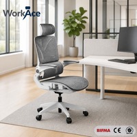 Chaise de bureau à structure démontable certifiée BIFMA CE, emballage export, vente en gros, confortable et durable pour le travail