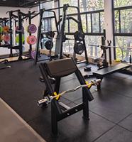 Machine à curls assis à charge libre SK Fitness – Équipement professionnel de musculation des biceps pour salle de sport commerciale