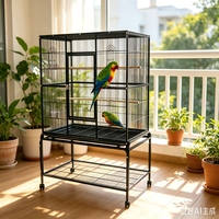 Nouvelle Cage Nid d'Oiseau Rectangulaire de Luxe Moderne à Motif Solide pour Cailles et Papataguios, en Fil d'Acier, Simple et Durable