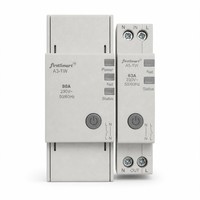 Interrupteur relais intelligent WiFi 63A 80A sur rail DIN Tuya avec réenclenchement automatique et protection contre les surtensions CE IEC60947-5-1 OEM