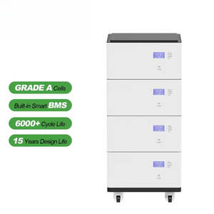 Sistema de Almacenamiento de Energía Solar de Litio Apilable de 51.2V 48V 100Ah 5kWh con Capacidad de Baterías de 10kW 20kW 30kW 50kW NEHC0009 - Product Image 6