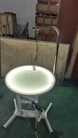 Table de toilettage pneumatique PetFit avec lumières LED, design portable sûr et écologique pour chiens et chats, capacité de 40 kg