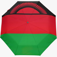Parapluie pliant entièrement automatique Mali Easy Wipe, anti-salissure, motif drapeau culturel, style thématique national