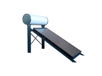 Système de chauffage de panneau d'eau chaude solaire collecteur pénal plat de secours électrique divisé